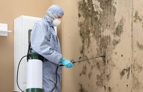 Best Commercial Mold Inspection  in Frazier Park, CA